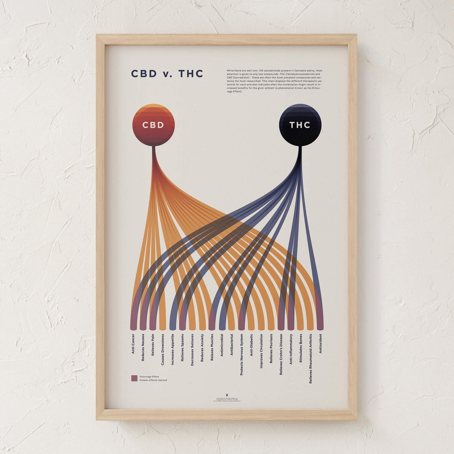 GoldLeaf Cuadro Comparativo de CBD vs. THC Best Sales Price - Art Prints