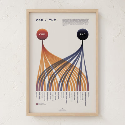 GoldLeaf Cuadro Comparativo de CBD vs. THC Best Sales Price - Art Prints