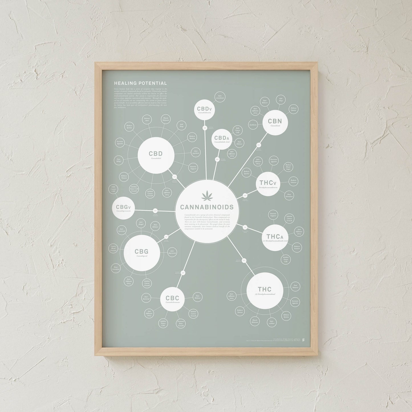 GoldLeaf Chart Of Cannabinoids Print Best Sales Price - Art Prints