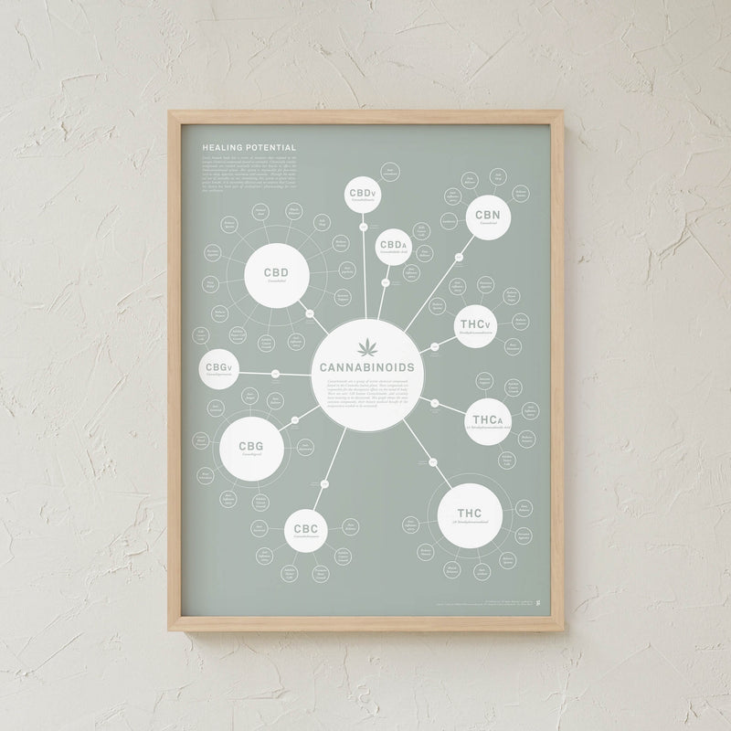 GoldLeaf Chart Of Cannabinoids Print Best Sales Price - Art Prints