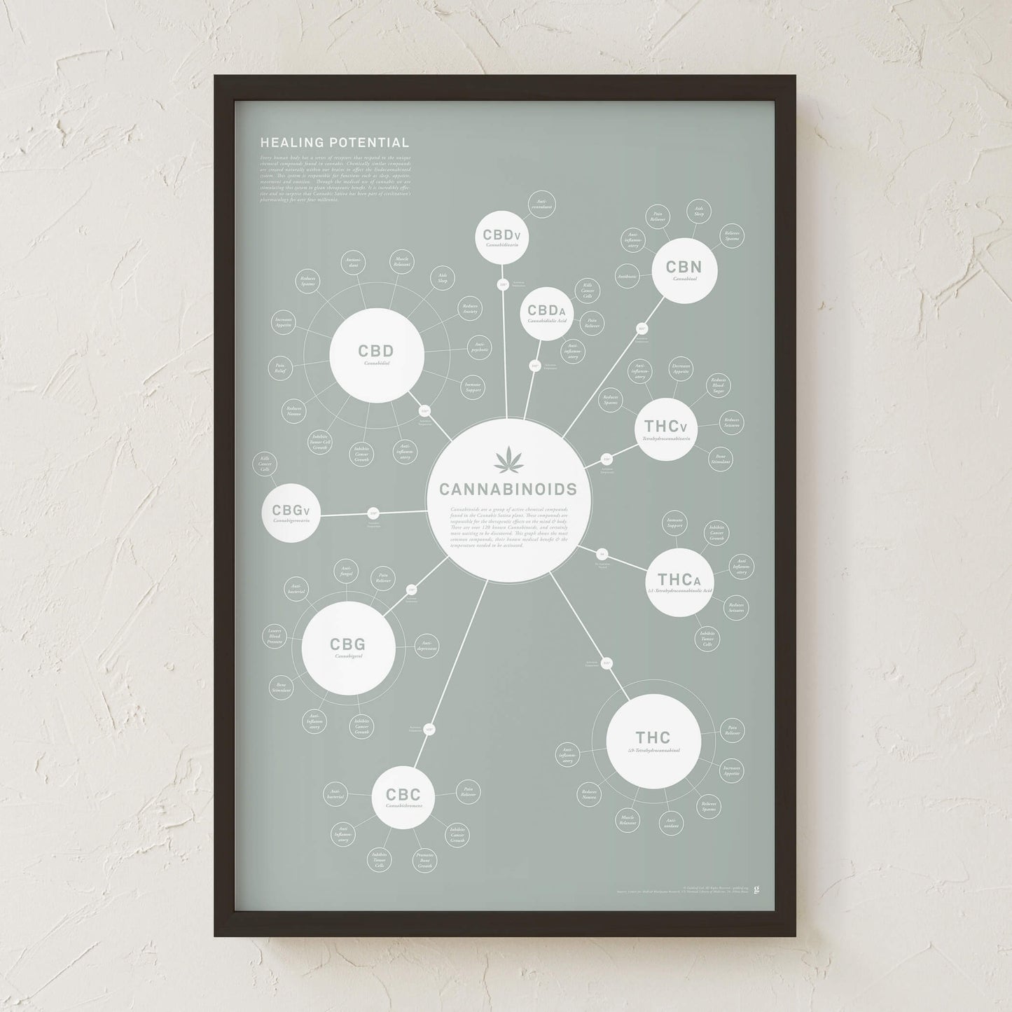 GoldLeaf Chart Of Cannabinoids Print Best Sales Price - Art Prints