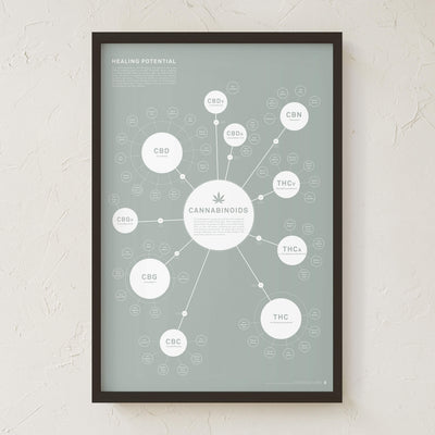GoldLeaf Chart Of Cannabinoids Print Best Sales Price - Art Prints