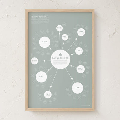 GoldLeaf Chart Of Cannabinoids Print Best Sales Price - Art Prints