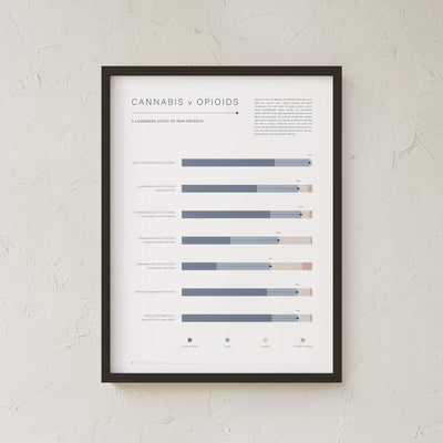 GoldLeaf Cannabis v Opioid Infographic Print Best Sales Price - Art Prints