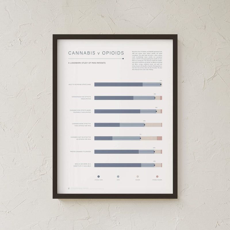 GoldLeaf Cannabis v Opioid Infographic Print Best Sales Price - Art Prints