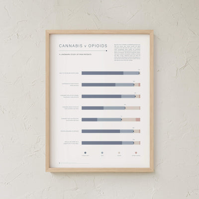GoldLeaf Cannabis v Opioid Infographic Print Best Sales Price - Art Prints