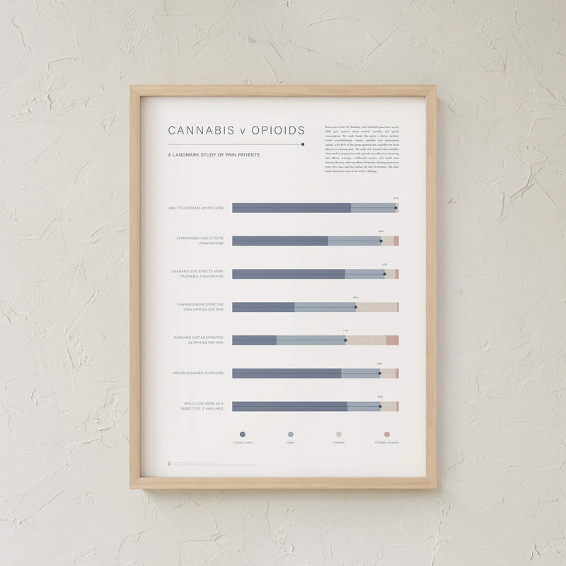 GoldLeaf Cannabis v Opioid Infographic Print Best Sales Price - Art Prints