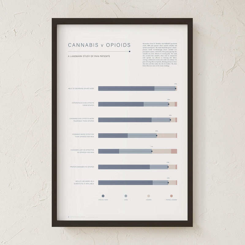 GoldLeaf Cannabis v Opioid Infographic Print Best Sales Price - Art Prints
