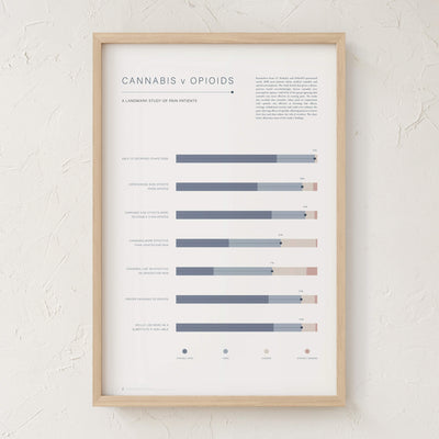 GoldLeaf Cannabis v Opioid Infographic Print Best Sales Price - Art Prints