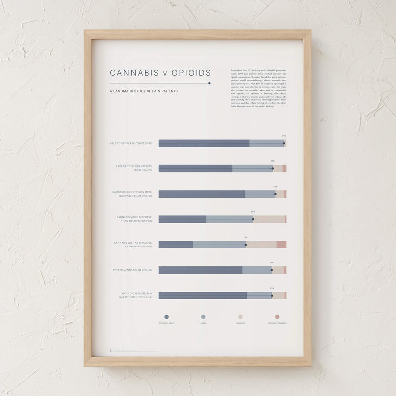 GoldLeaf Cannabis v Opioid Infographic Print Best Sales Price - Art Prints