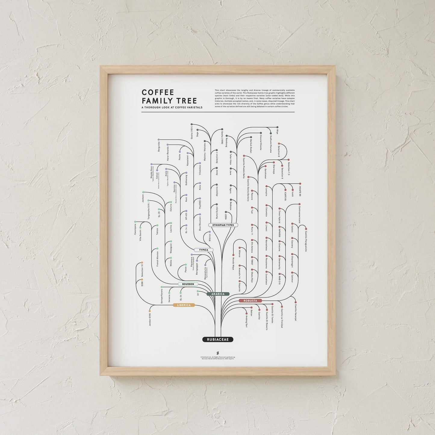 GoldLeaf Coffee Family Tree Print Best Sales Price - Art Prints
