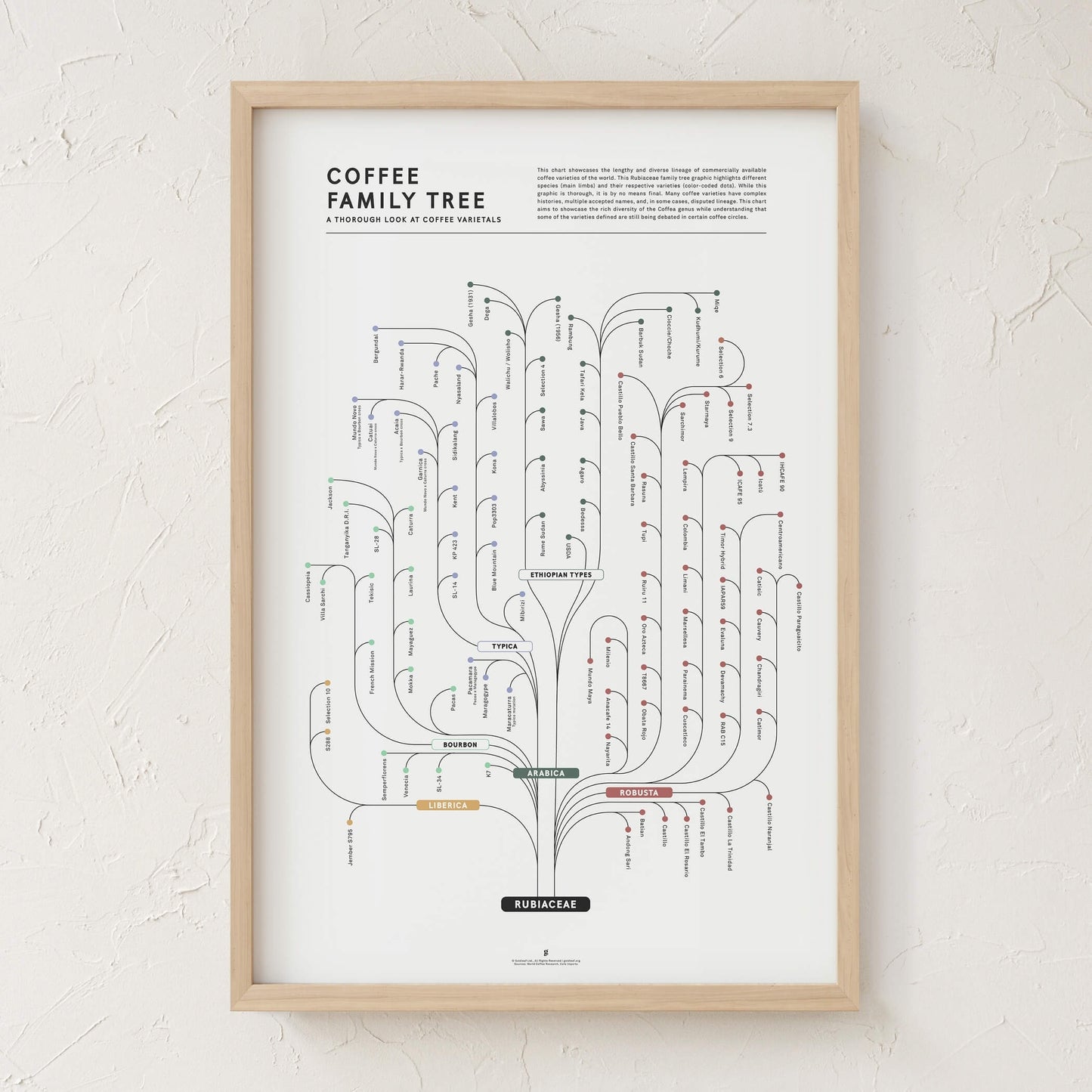 GoldLeaf Coffee Family Tree Print Best Sales Price - Art Prints