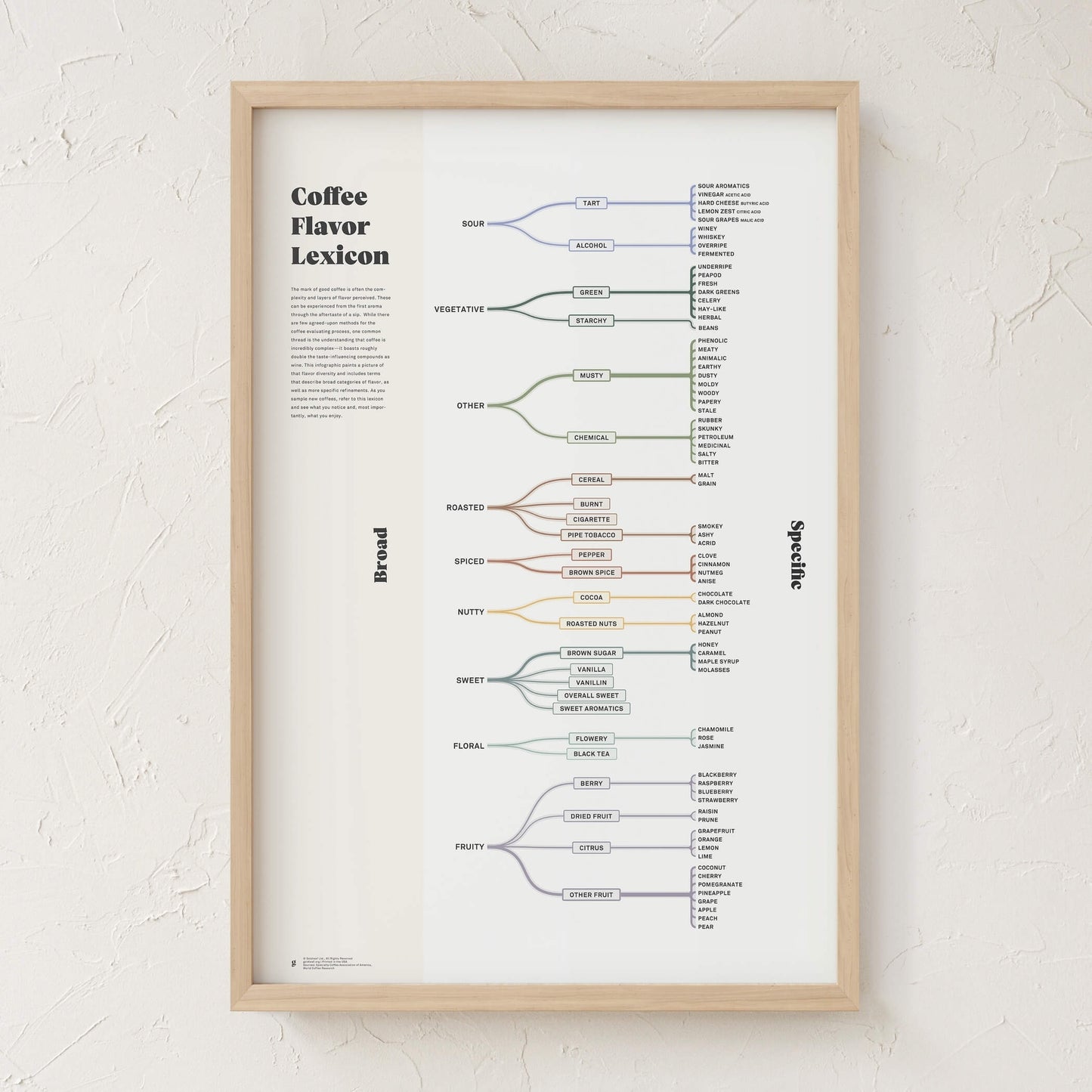 GoldLeaf Coffee Flavor Lexicon Print Best Sales Price - Art Prints