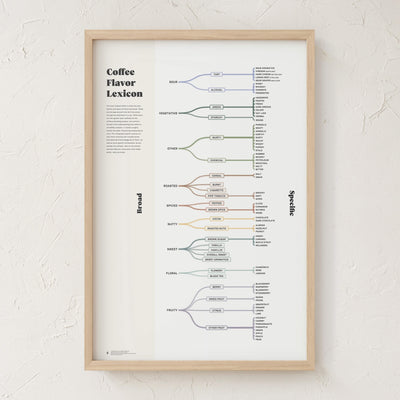GoldLeaf Coffee Flavor Lexicon Print Best Sales Price - Art Prints