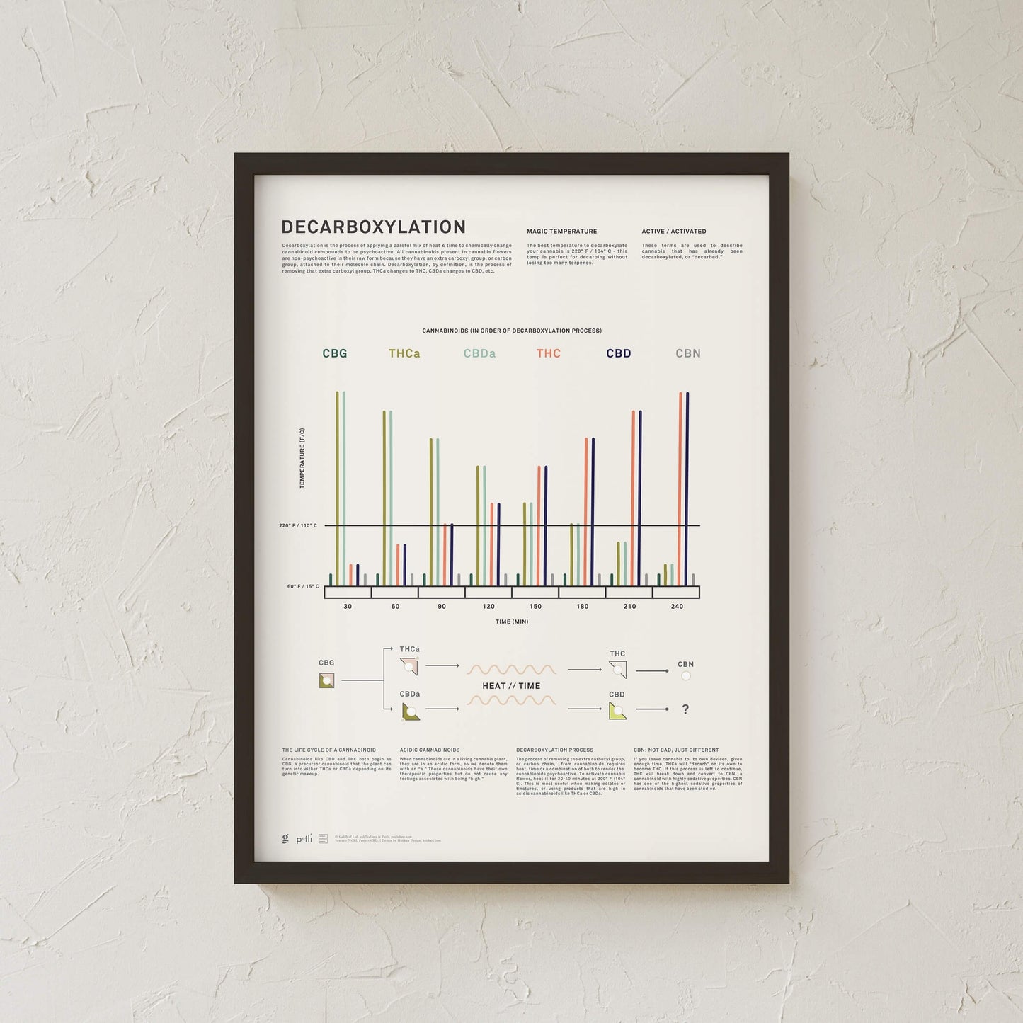 GoldLeaf Decarboxylation Infographic Print Best Sales Price - Art Prints