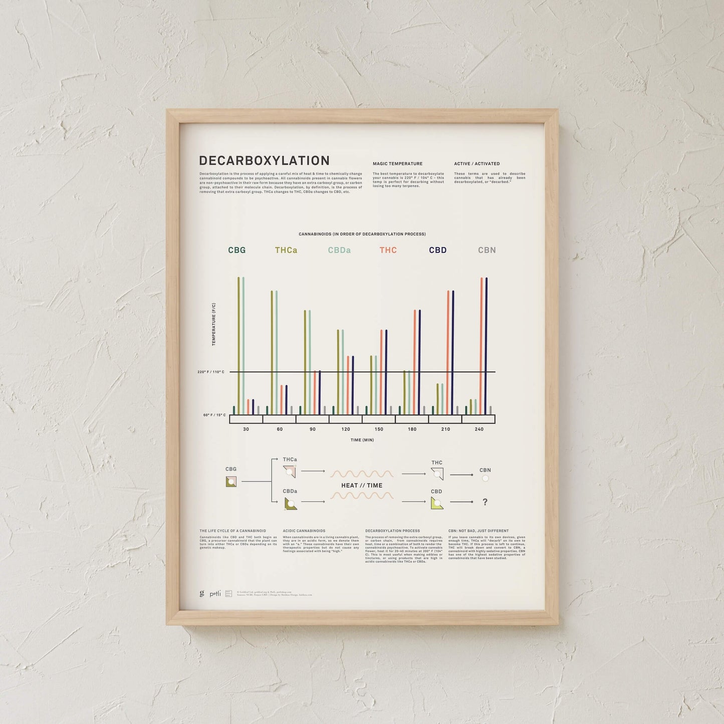 GoldLeaf Decarboxylation Infographic Print Best Sales Price - Art Prints