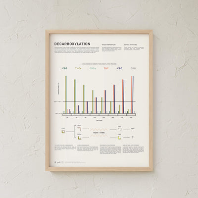 GoldLeaf Decarboxylation Infographic Print Best Sales Price - Art Prints