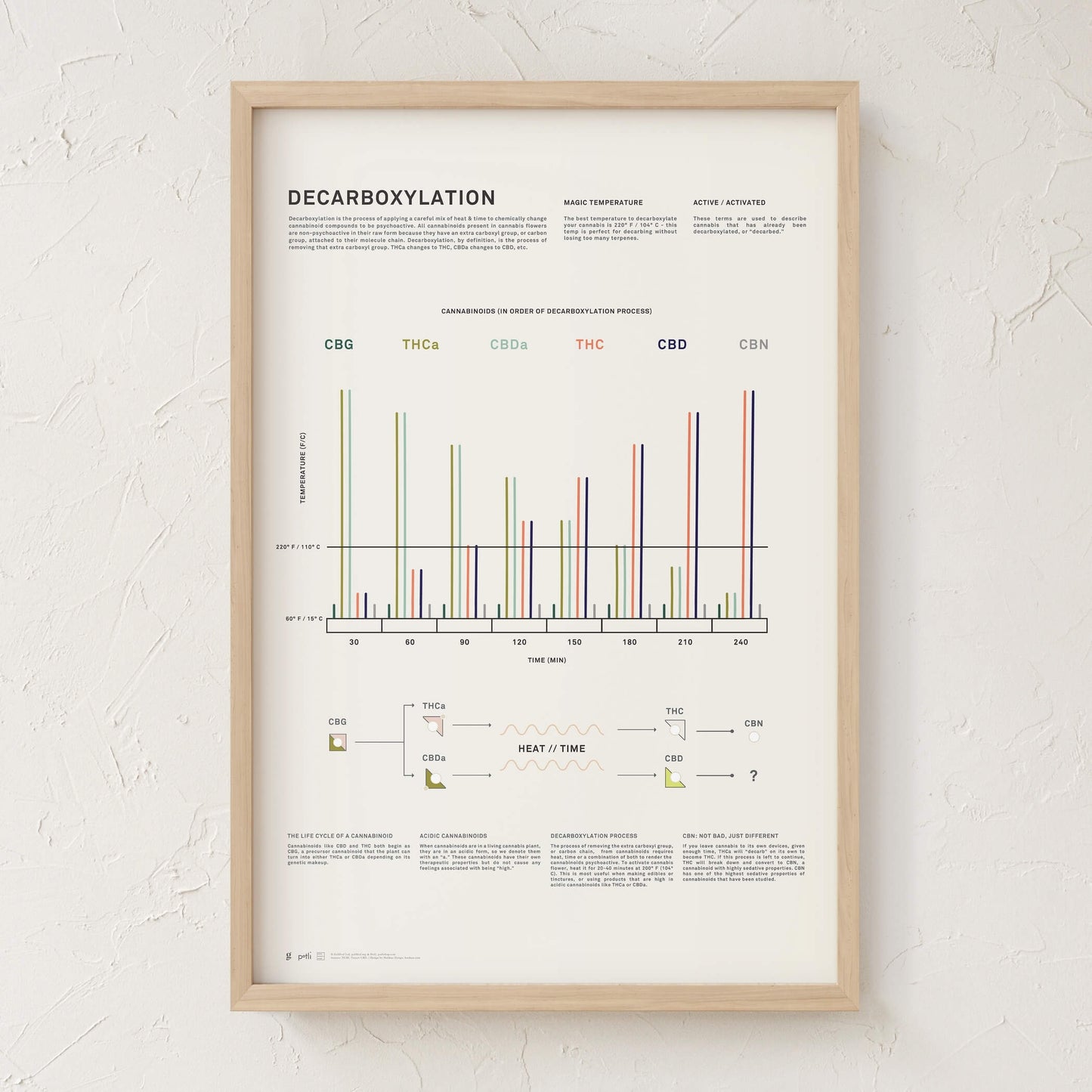 GoldLeaf Decarboxylation Infographic Print Best Sales Price - Art Prints