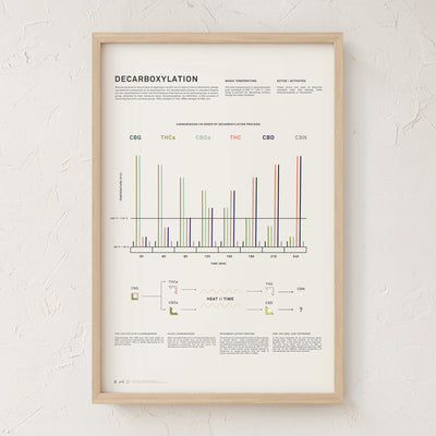 GoldLeaf Decarboxylation Infographic Print Best Sales Price - Art Prints