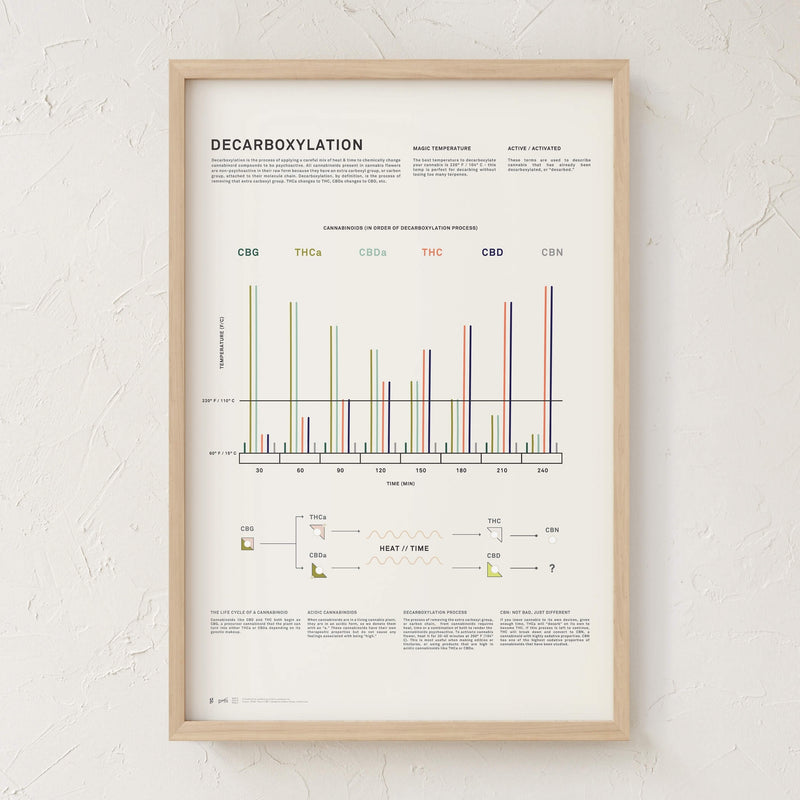 GoldLeaf Decarboxylation Infographic Print Best Sales Price - Art Prints