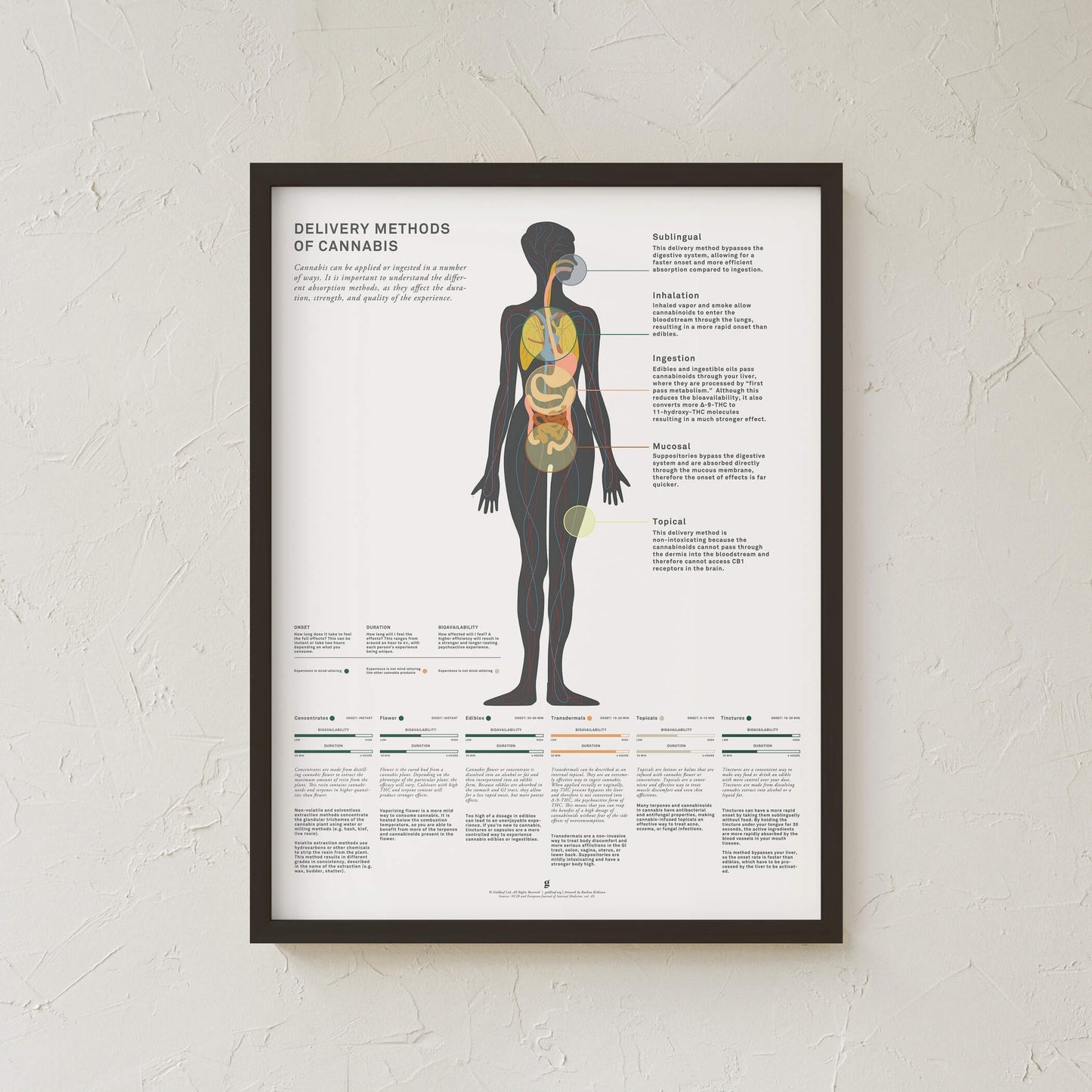 GoldLeaf Delivery Methods of Cannabis Chart Print Best Sales Price - Art Prints