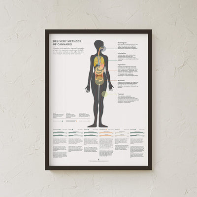 GoldLeaf Delivery Methods of Cannabis Chart Print Best Sales Price - Art Prints