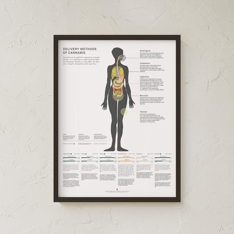 GoldLeaf Impresión Gráfico de Métodos Administración de Cannabis Best Sales Price - Art Prints
