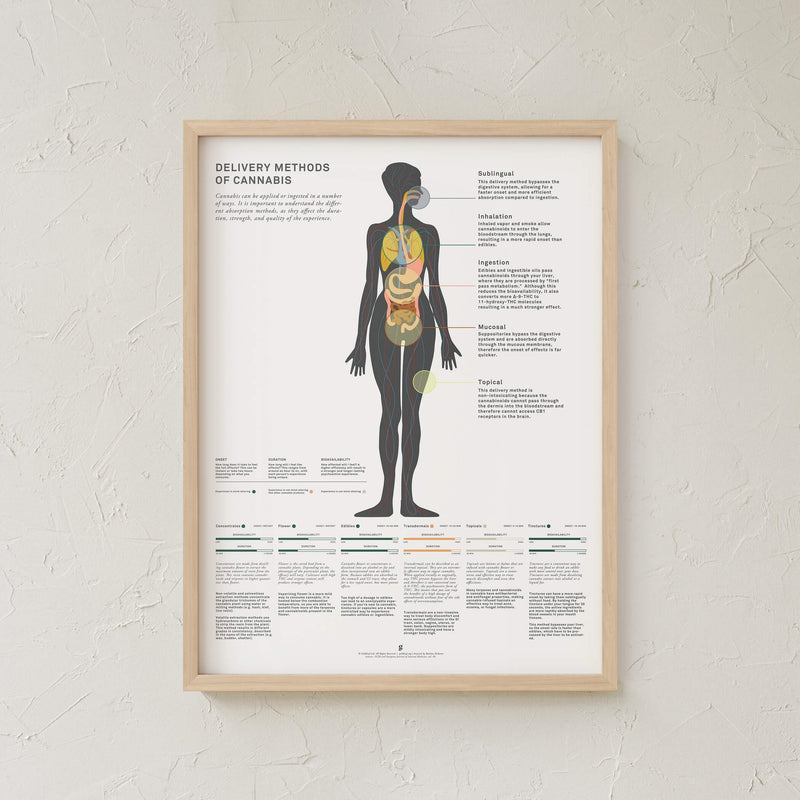 GoldLeaf Impresión Gráfico de Métodos Administración de Cannabis Best Sales Price - Art Prints