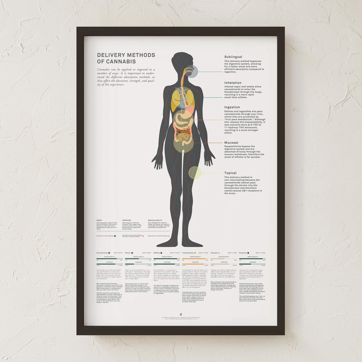 GoldLeaf Delivery Methods of Cannabis Chart Print Best Sales Price - Art Prints