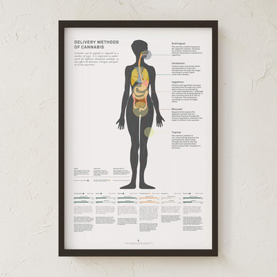 GoldLeaf Impresión Gráfico de Métodos Administración de Cannabis Best Sales Price - Art Prints