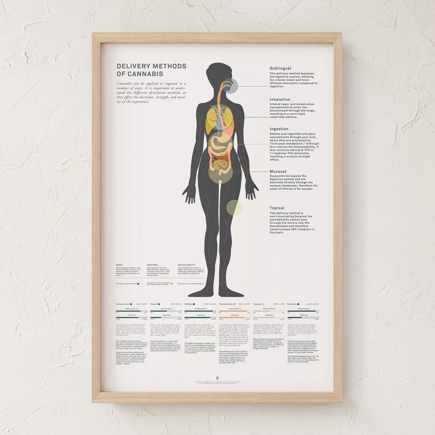 GoldLeaf Delivery Methods of Cannabis Chart Print Best Sales Price - Art Prints