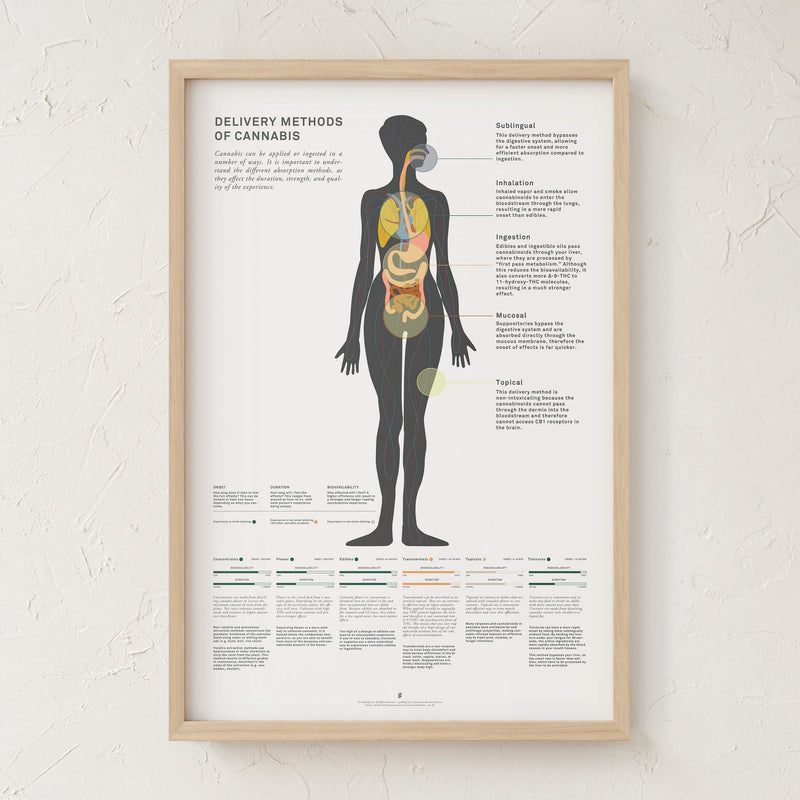 GoldLeaf Delivery Methods of Cannabis Chart Print Best Sales Price - Art Prints