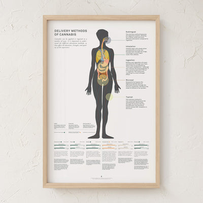 GoldLeaf Impresión Gráfico de Métodos Administración de Cannabis Best Sales Price - Art Prints