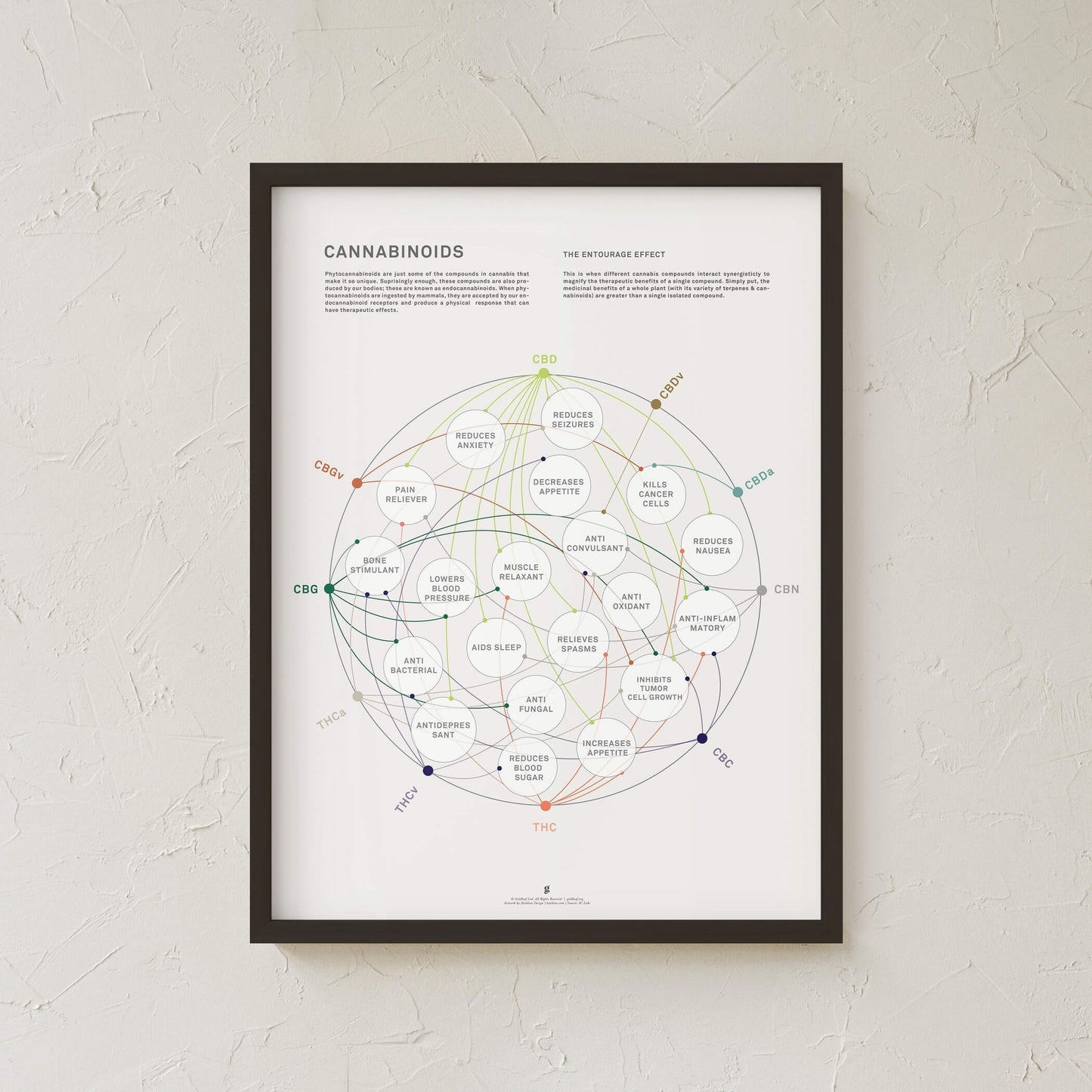 GoldLeaf La Matriz de Salud Cannabinoides Impresíon Best Sales Price - Art Prints