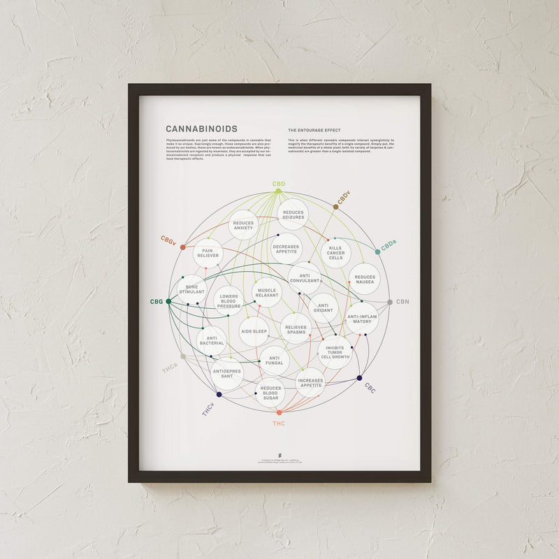 GoldLeaf La Matriz de Salud Cannabinoides Impresíon Best Sales Price - Art Prints
