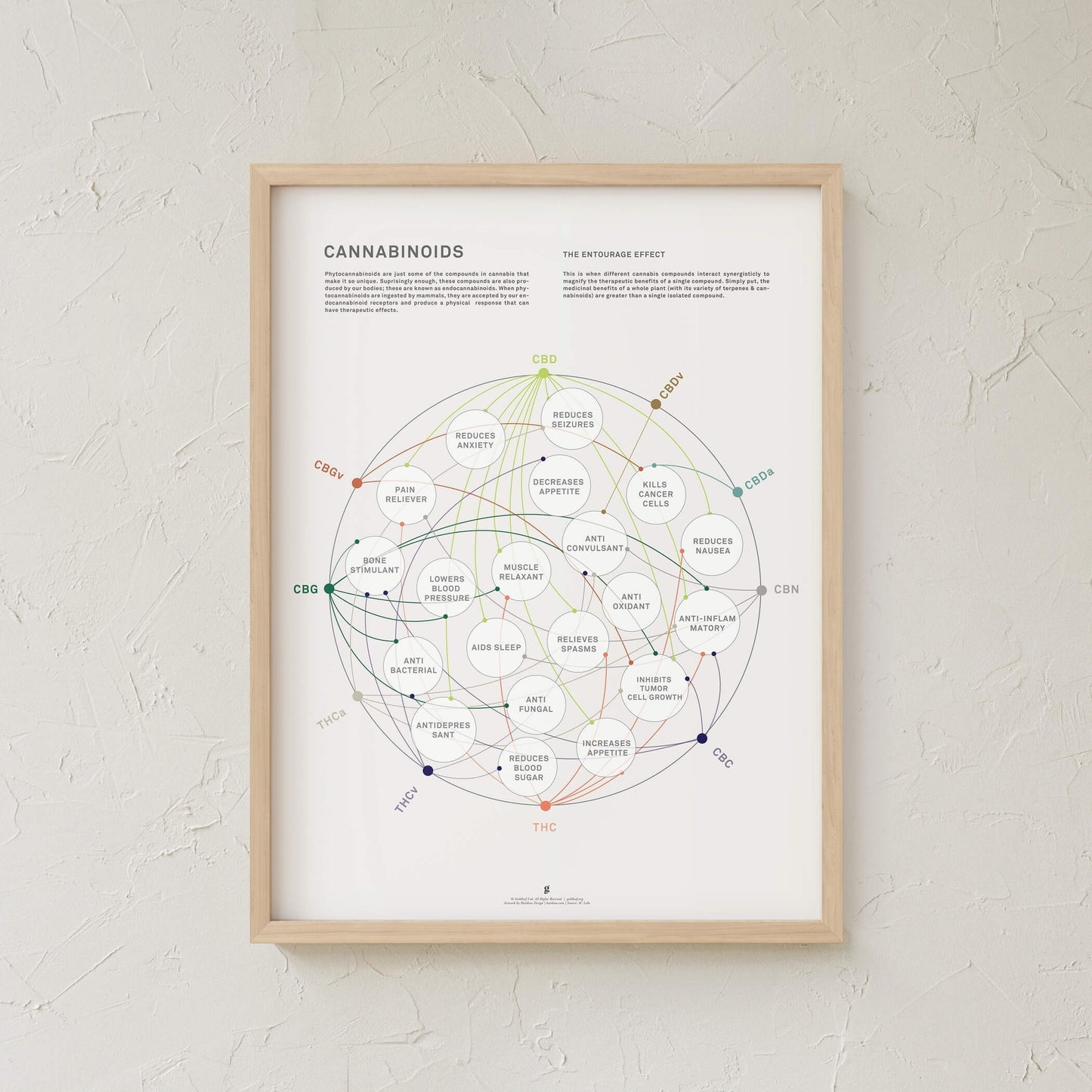 GoldLeaf Cannabinoid Health Matrix Print Best Sales Price - Art Prints