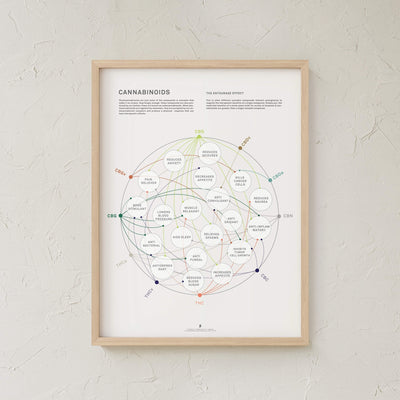 GoldLeaf Cannabinoid Health Matrix Print Best Sales Price - Art Prints