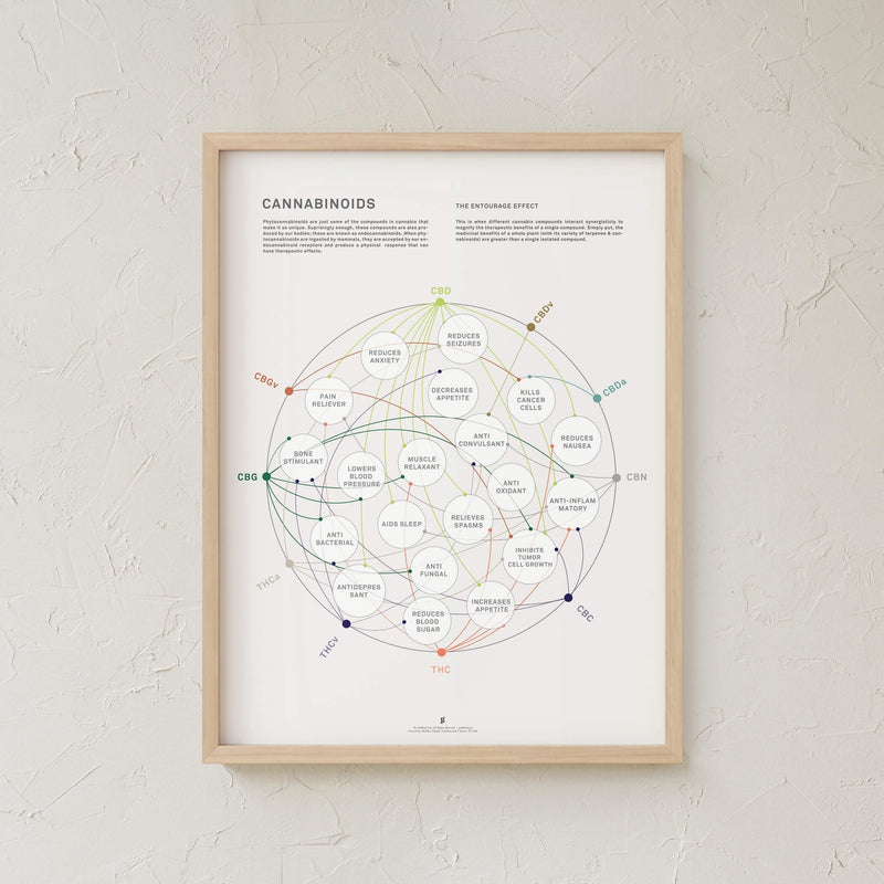 GoldLeaf Cannabinoid Health Matrix Print Best Sales Price - Art Prints