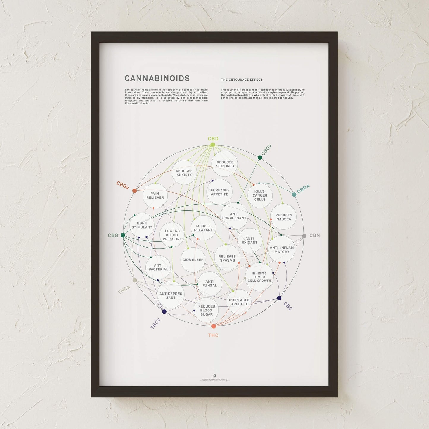 GoldLeaf Cannabinoid Health Matrix Print Best Sales Price - Art Prints