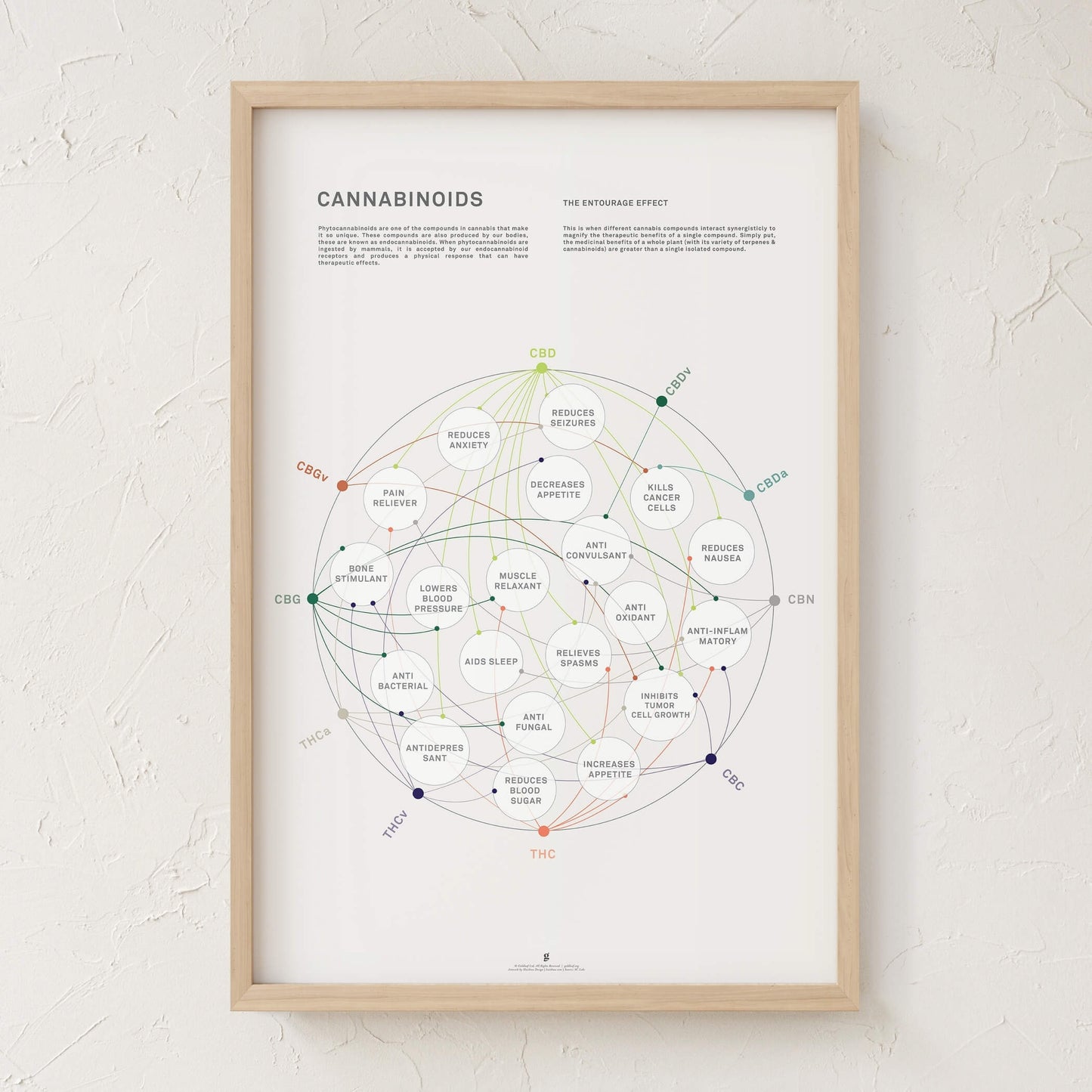 GoldLeaf La Matriz de Salud Cannabinoides Impresíon Best Sales Price - Art Prints