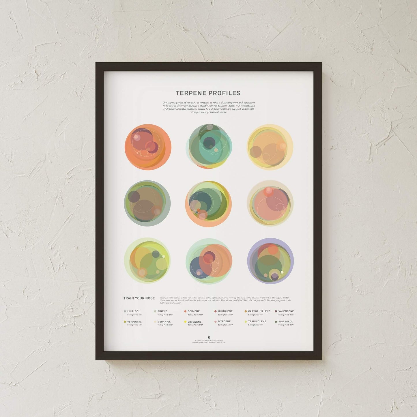 GoldLeaf Terpene Profile Illustration Print Best Sales Price - Art Prints