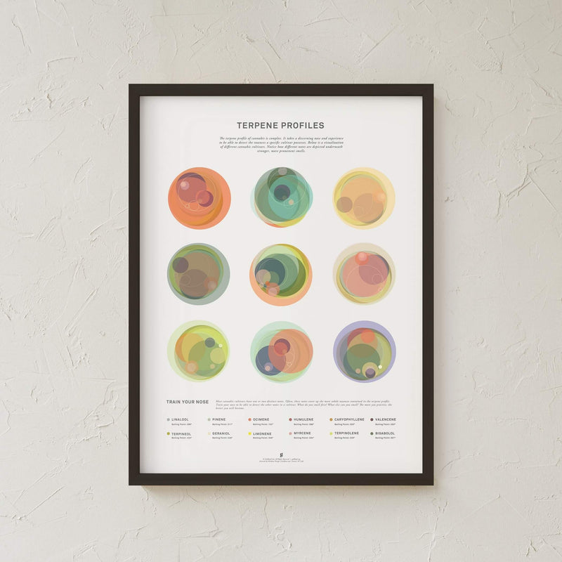 GoldLeaf Terpene Profile Illustration Print Best Sales Price - Art Prints