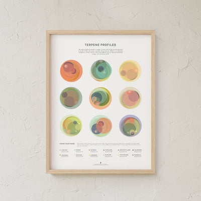 GoldLeaf Terpene Profile Illustration Print Best Sales Price - Art Prints