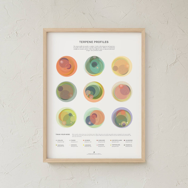 GoldLeaf Terpene Profile Illustration Print Best Sales Price - Art Prints