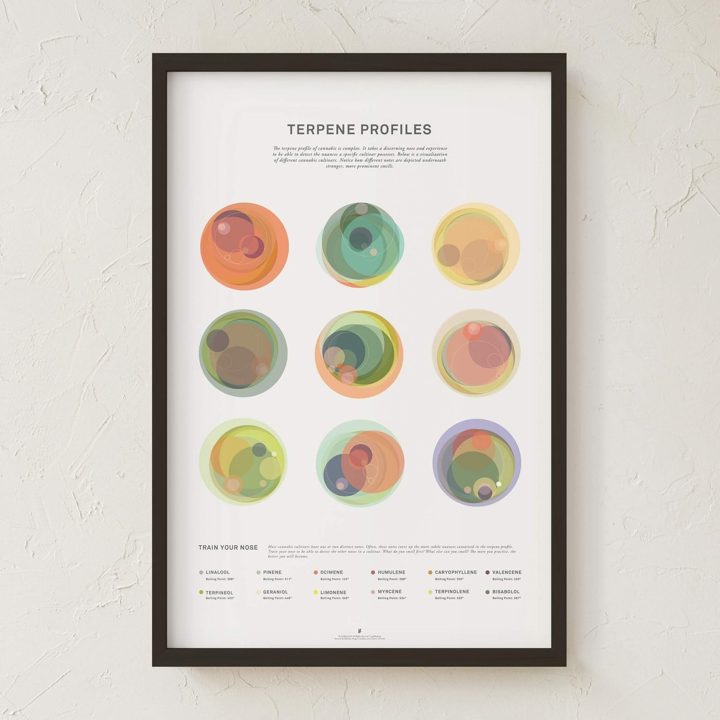 GoldLeaf Terpene Profile Illustration Print Best Sales Price - Art Prints
