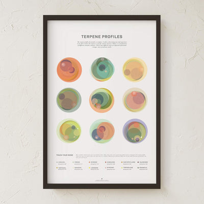GoldLeaf Terpene Profile Illustration Print Best Sales Price - Art Prints
