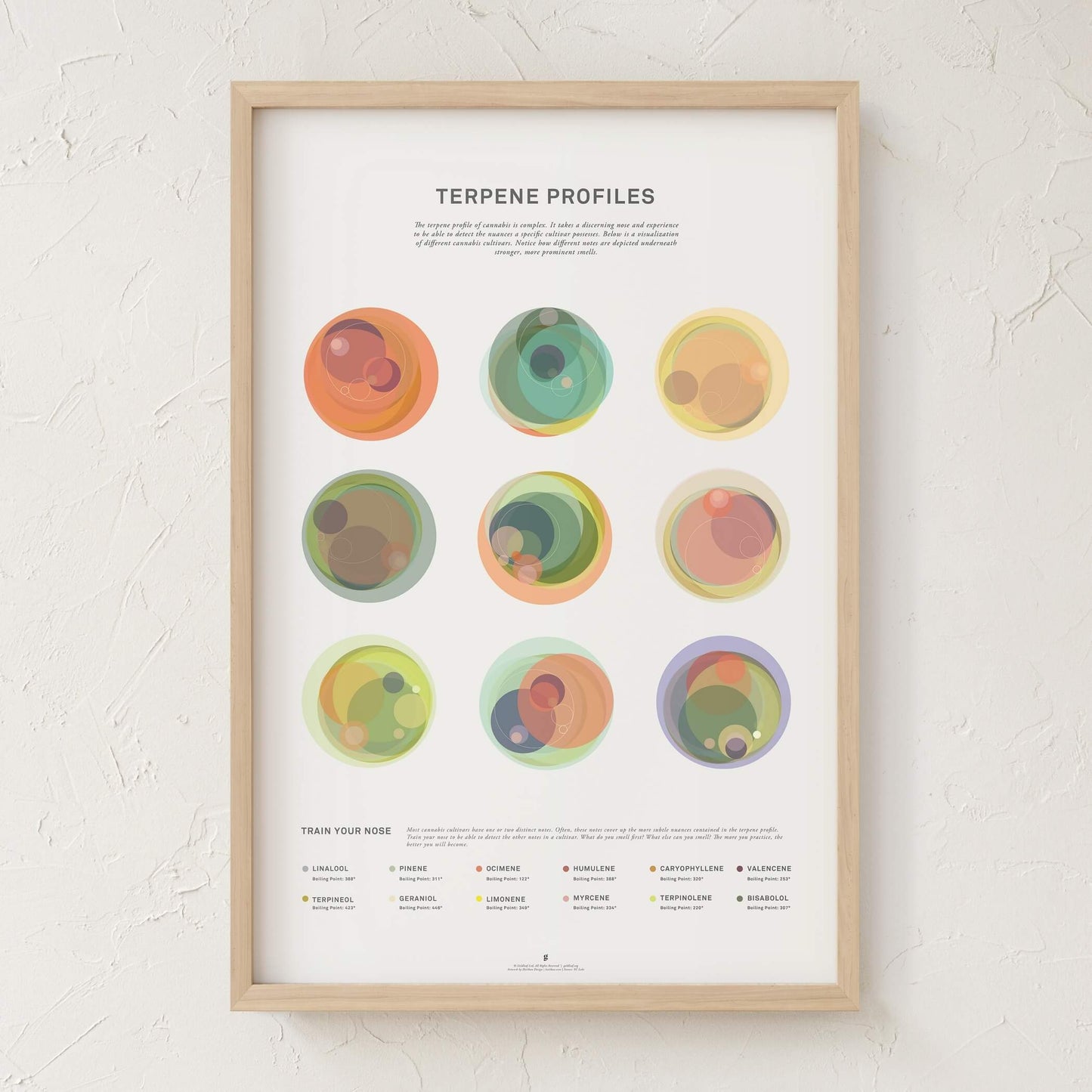 GoldLeaf Terpene Profile Illustration Print Best Sales Price - Art Prints
