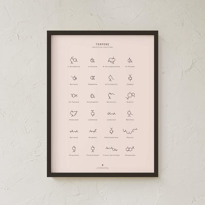 GoldLeaf Terpene Molecular Structures Chart Print Best Sales Price - Art Prints