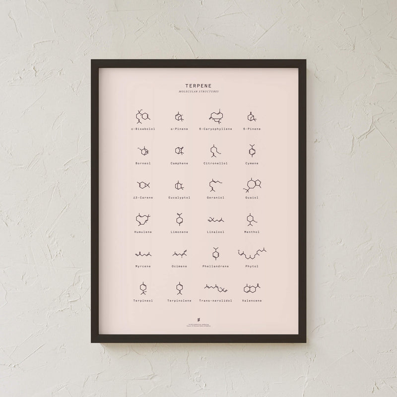 GoldLeaf Terpene Molecular Structures Chart Print Best Sales Price - Art Prints