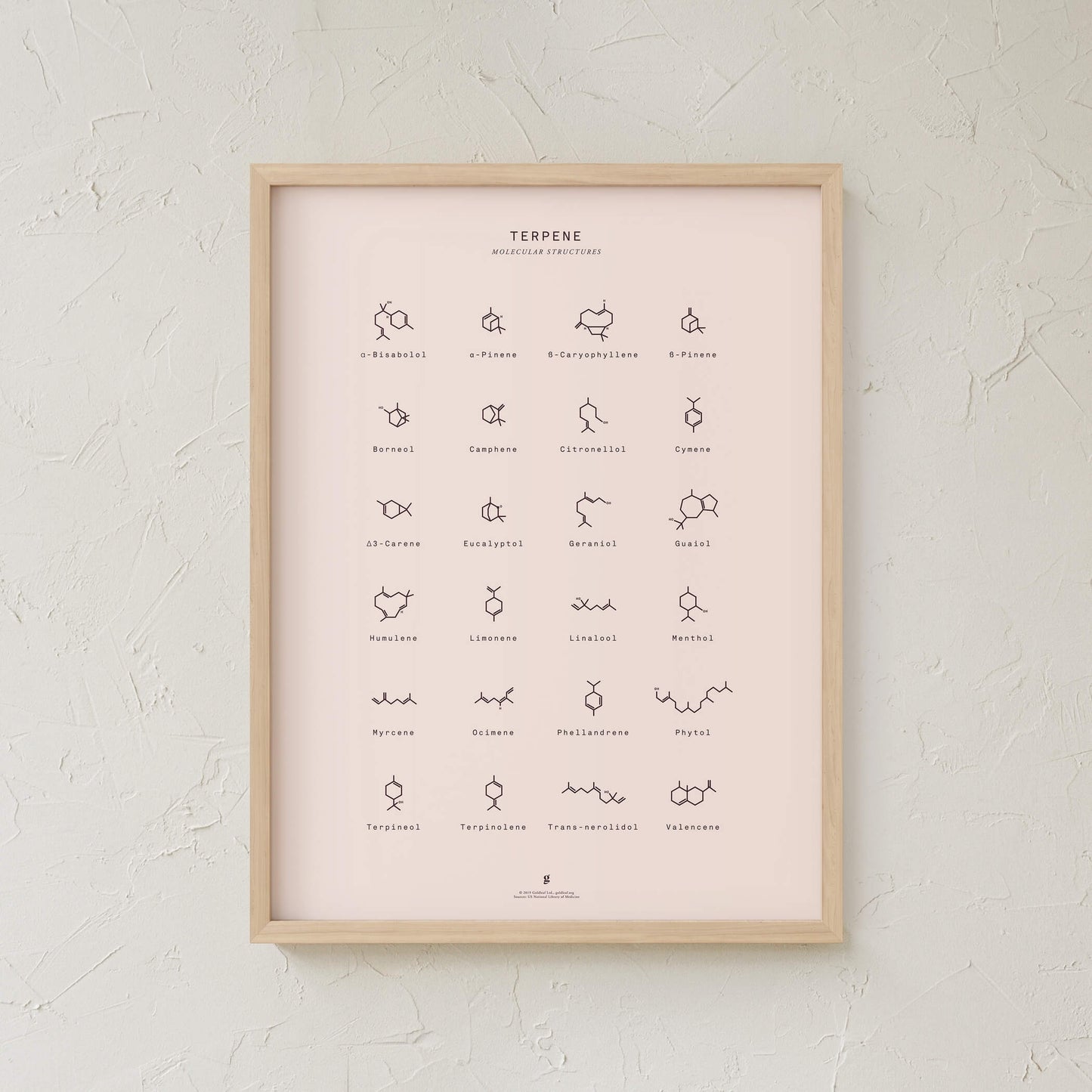 GoldLeaf Terpene Molecular Structures Chart Print Best Sales Price - Art Prints